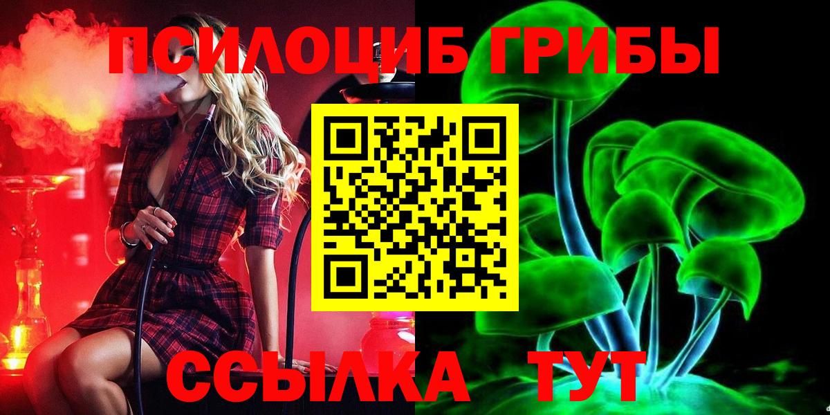 Галлюциногенные грибы MAGIC MUSHROOMS  Вход с VPN  сколько стоит  Петропавловск-Камчатский 